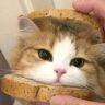 猫meme吖抖音达人头像