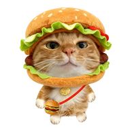 鸡腿堡抖音达人头像