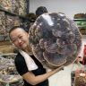 清平市场雯姐抖音达人头像