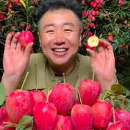 象牙山陈家果园抖音号头像