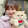 无敌小小豆抖音达人头像