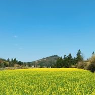 大山里的严选01抖音达人头像