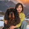 藏獒雷霆抖音达人头像
