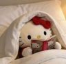 窝要困告啦💤抖音达人头像