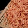 磷虾妹子抖音达人头像