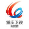 重庆卫视抖音达人头像