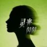 灵光闪闪抖音达人头像