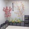 种植箱实力工厂抖音达人头像
