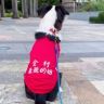 边牧果冻抖音达人头像