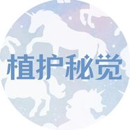 植护秘觉女性护理旗舰店抖音达人头像