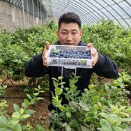 小八(稻田蟹季)抖音达人头像