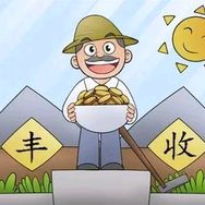 农资锄掌柜抖音达人头像