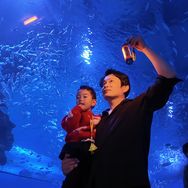 旅行奶爸毕哥抖音达人头像