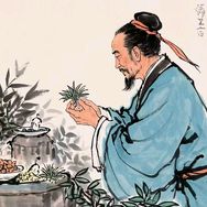 古法草本养发王老师抖音达人头像