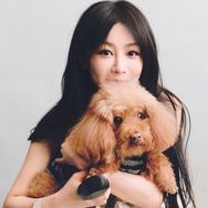 杨紫抖音达人头像