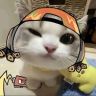 炸弹猫💥抖音达人头像