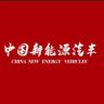 中国新能源汽车抖音达人头像