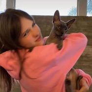 猫凡抖音达人头像