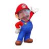 小红猪抖音达人头像