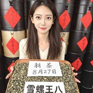 老许的冷泡茶抖音达人头像