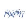 电视剧向风而行抖音达人头像