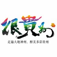 很贵州抖音达人头像