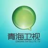 青海卫视抖音达人头像