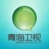青海卫视抖音达人头像