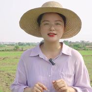 小朱爱三农抖音达人头像