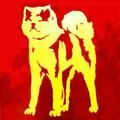 【红星社】Akita（秋田犬、柴犬）抖音达人头像