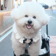小熊十七抖音达人头像