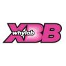 WHYLAB夏BB抖音达人头像