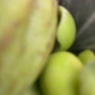 奕辰百货精选抖音号头像