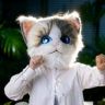 萌猫有好货抖音达人头像
