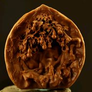 电磨机工厂抖音号头像