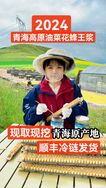 名展天下（守得丰2026年头茬蜂初乳）抖音达人头像