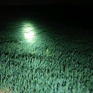 福爆抖音号头像