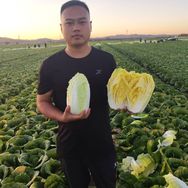 小涛生鲜店抖音达人头像