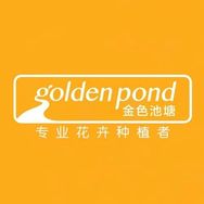 goldenpond金色池塘官方旗舰店抖音达人头像
