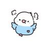 鹦林萌主🦜抖音达人头像