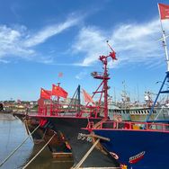 万万没想到抖音号头像