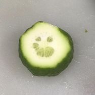 菜苂🔪抖音达人头像