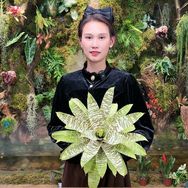 花一森林抖音达人头像