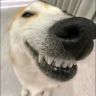 要多喝热水抖音达人头像