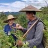 苗疆兄妹—传苗方抖音达人头像