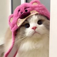 -长腿欧尼抖音达人头像