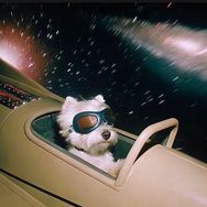 孩子王瘦虎抖音达人头像