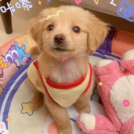 钱多多的小时候抖音达人头像