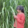 土家牧业抖音达人头像