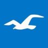 Hollister Co.官方旗舰店抖音达人头像